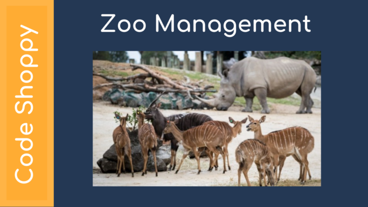 Code Shoppy Thumbnail 2023 Code Shoppy